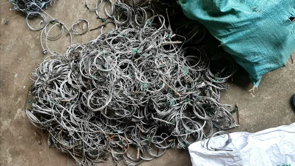 cap-ky-lan-chau-a-tu-5-000-bay-thu-va-thong-diep-cua-can-bo-bao-ton (3).jpg