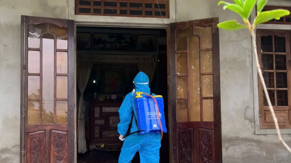 Mắc liên cầu lợn