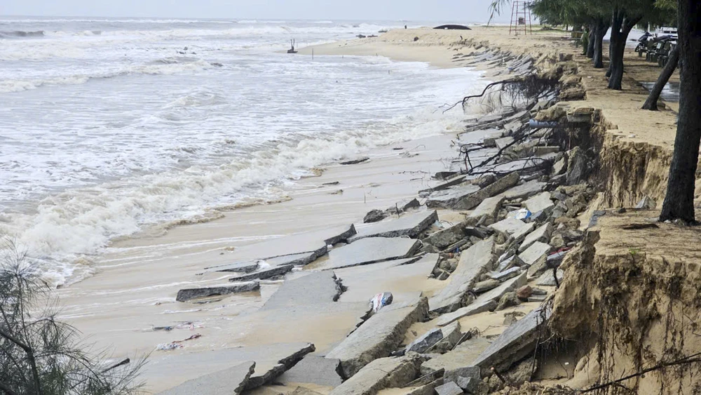 300-nguoi-doi-mua-khan-truong-gia-co-khan-cap-bo-bien (12).jpg