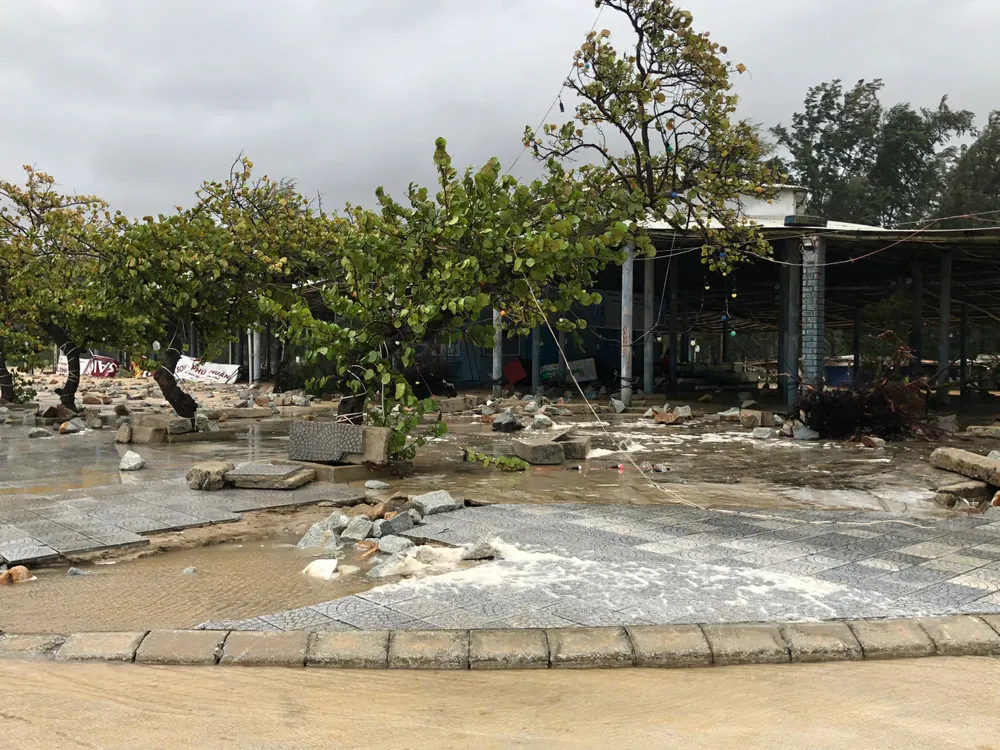 bo-bien-tan-hoang-do-bao-tra-mi (2).jpg