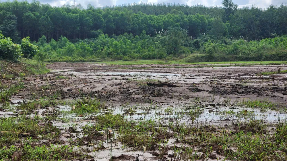 thi-cong-cao-toc-van-ninh-cam-lo-khien-bun-dat-vui-lap-ruong-cua-dan (4).jpg