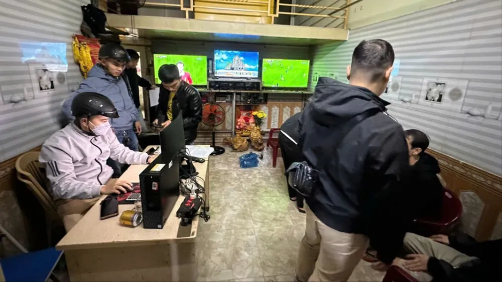 tổ chức đánh bạc trong quán cà phê