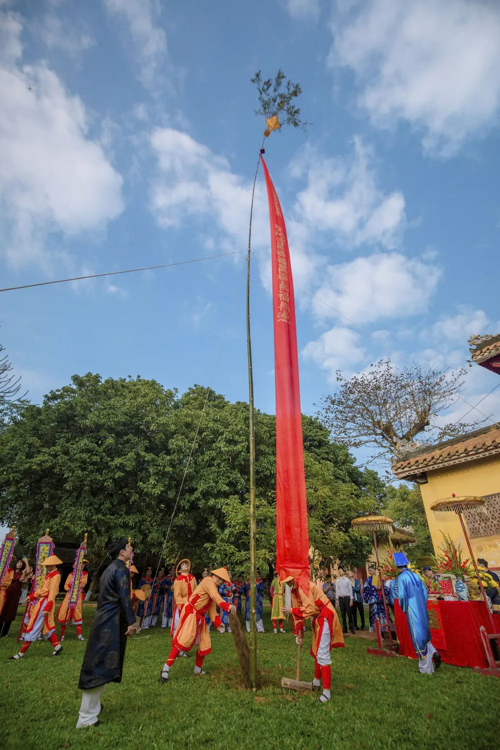 dung-cay-neu-trong-hoang-cung-hue-bao-hieu-xuan-ve (6).jpg