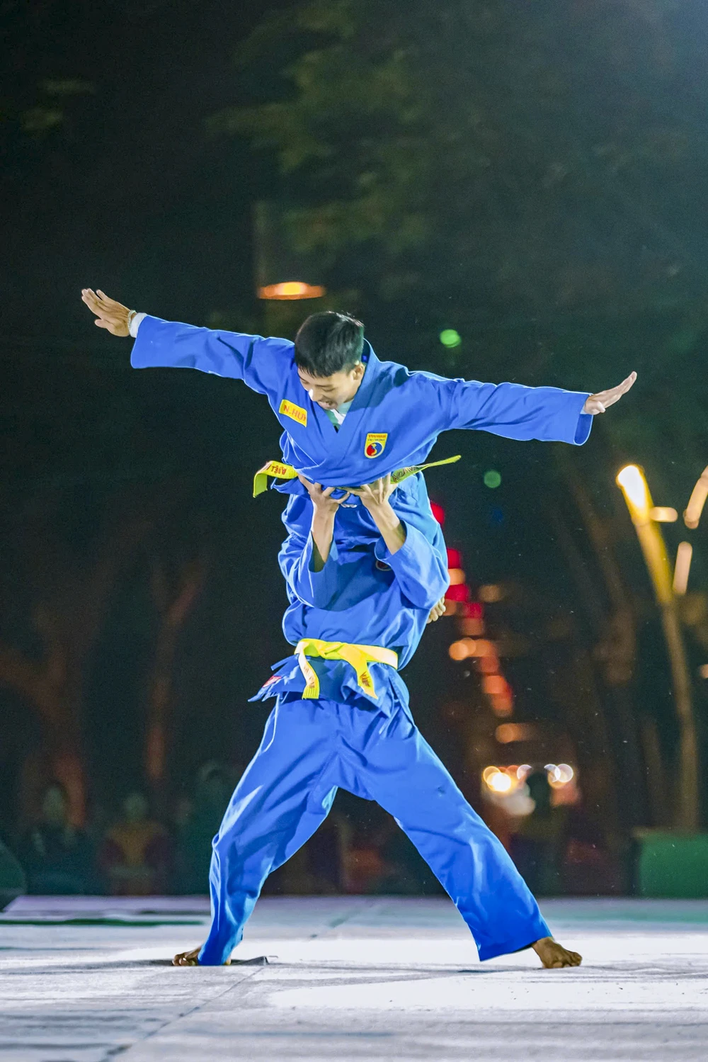 tinh-hoa-vo-viet (14).jpg