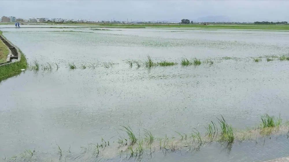 Thủy điện Hương Điền