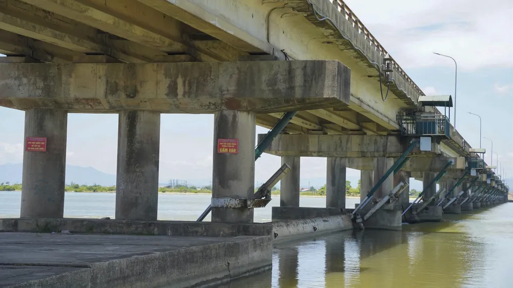 dap-thao-long-la-chan-ngan-man-lon-nhat-dong-nam-a-truoc-ngay-dai-tu (10).jpg