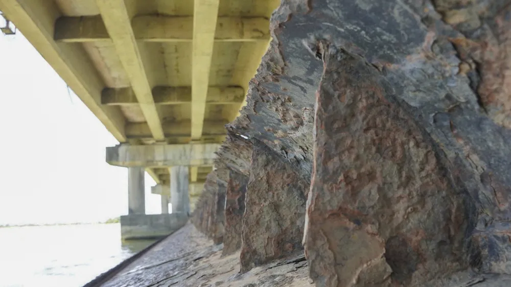 dap-thao-long-la-chan-ngan-man-lon-nhat-dong-nam-a-truoc-ngay-dai-tu (5).jpg