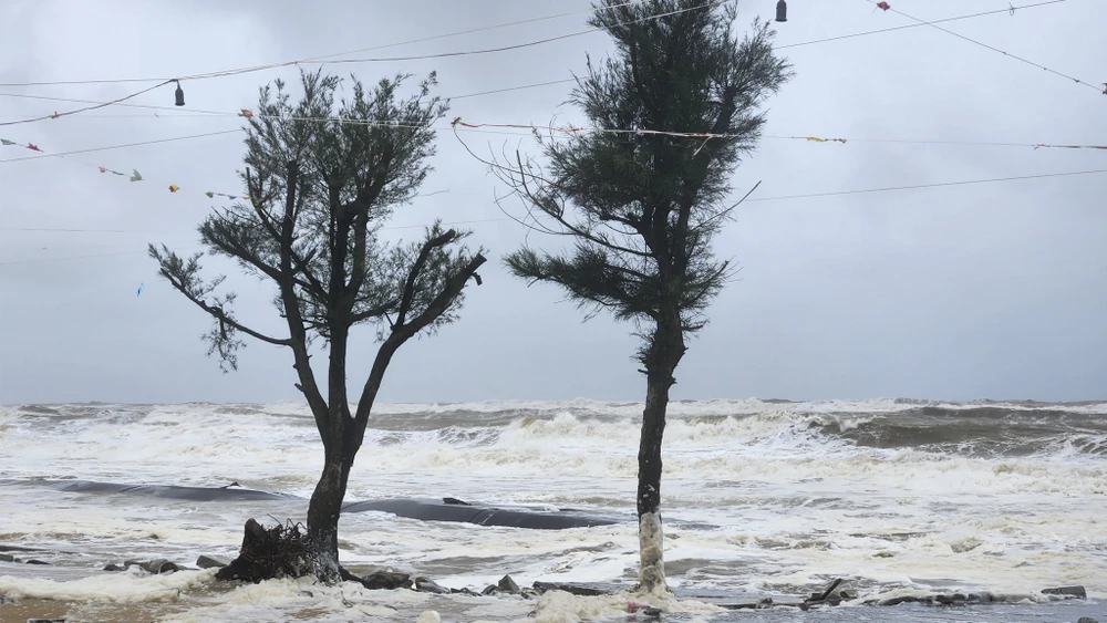 chum-anh-song-bien-cao-tran-vao-khu-dan-cu-noi-tung-la-cua-bien-nam-1999 (20).jpg