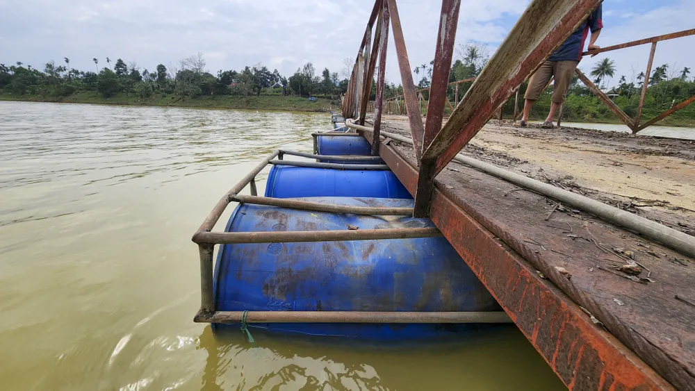 vi-sao-nguoi-hue-mong-ngong-noi-lai-cay-cau-du-bi-thu-phi-bot (15).jpg