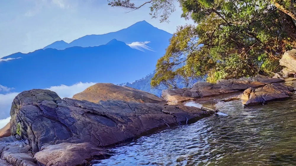 muc-so-thi-kho-bau-xanh-giup-vuon-quoc-gia-bach-ma-thanh-di-san-asean (14).jpg