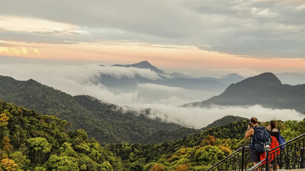 muc-so-thi-kho-bau-xanh-giup-vuon-quoc-gia-bach-ma-thanh-di-san-asean (17).jpg