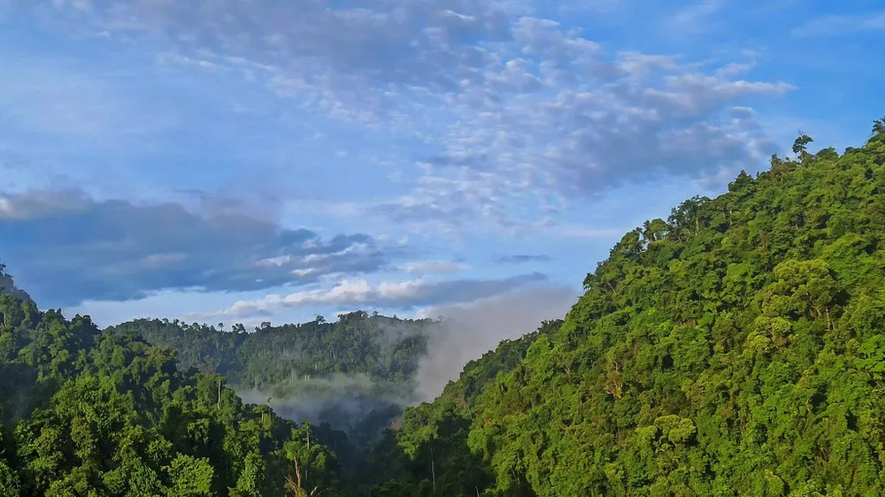 muc-so-thi-kho-bau-xanh-giup-vuon-quoc-gia-bach-ma-thanh-di-san-asean (24).jpg