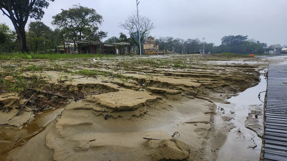 san-khau-lat-go-lim-29-ti-dong-tren-song-huong-bien-thanh-ho-bun-sau-lu (14).jpg