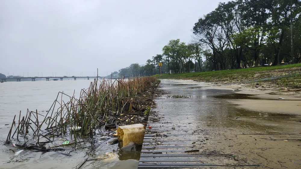 san-khau-lat-go-lim-29-ti-dong-tren-song-huong-bien-thanh-ho-bun-sau-lu (15).jpg