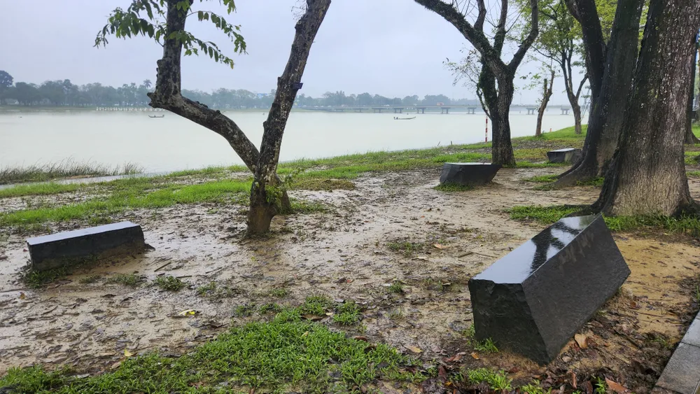 san-khau-lat-go-lim-29-ti-dong-tren-song-huong-bien-thanh-ho-bun-sau-lu (7).jpg