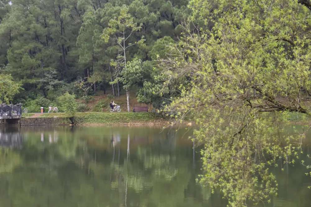 ve-dep-ma-mi-cua-con-rong-khong-lo-o-hue-gio-ra-sao (4).jpg