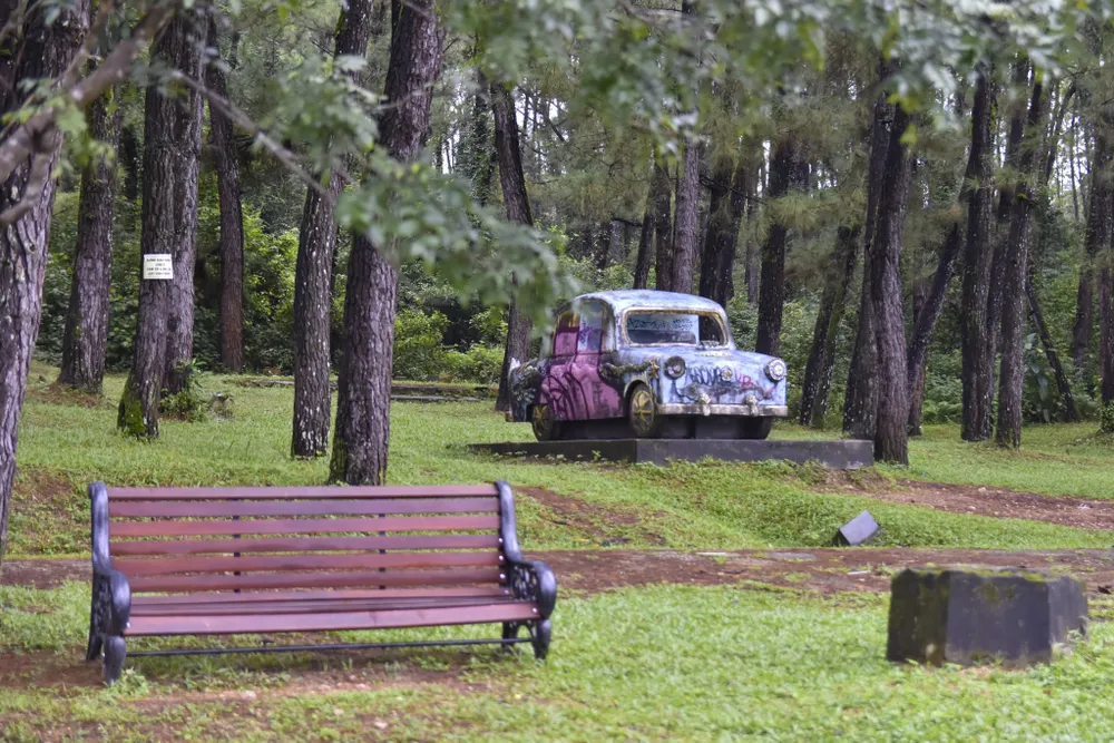 ve-dep-ma-mi-cua-con-rong-khong-lo-o-hue-gio-ra-sao (6).jpg