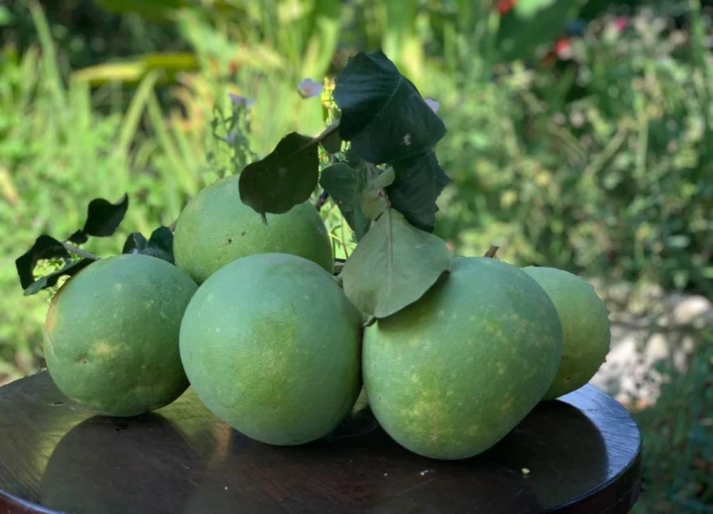 Thức cúng mùng năm với cây trái trong vườn. Ảnh: LƯU BÌNH.