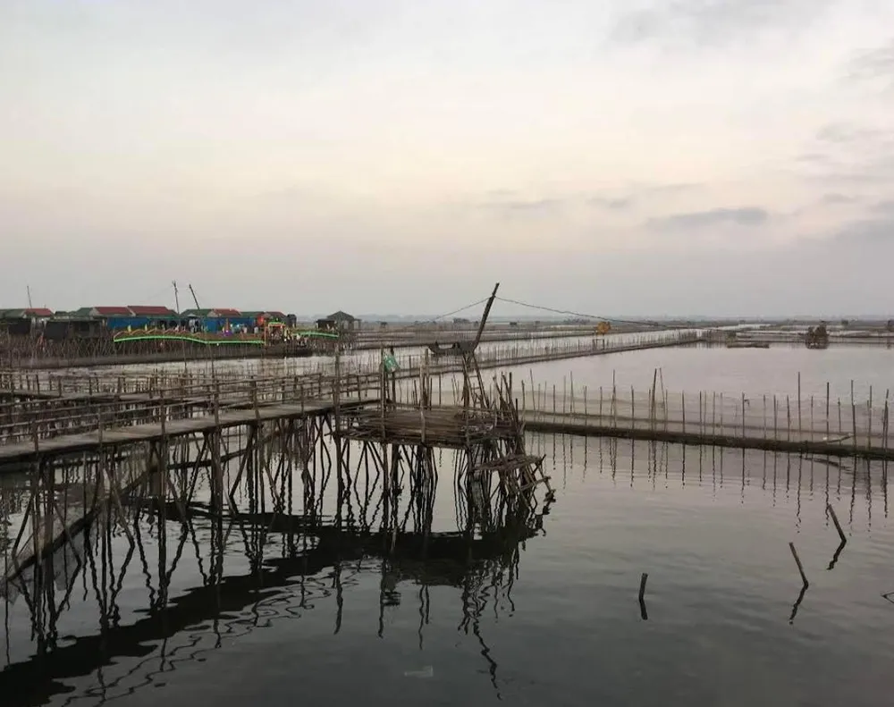 Đầm chuồn phá Tam Giang của xứ Huế mộng mơ. Ảnh: LƯU BÌNH Đầm chuồn phá Tam Giang của xứ Huế mộng mơ. Ảnh: LƯU BÌNH