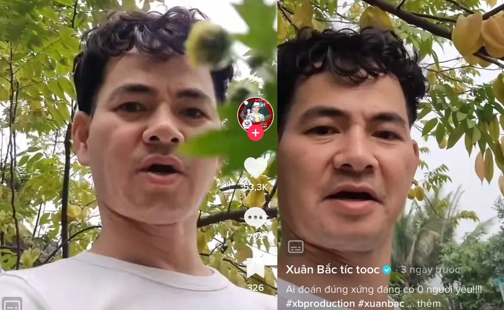 Xuân Bắc đăng tải khoảnh khắc khoe vườn cây trĩu quả trên TikTok, nhận về lượt tương tác cao từ người hâm mộ. Ảnh: Chụp màn hình.