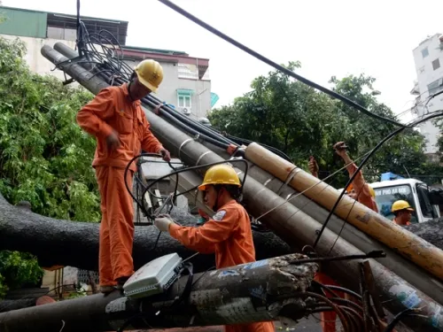 Thợ điện thủ đô nỗ lực khôi phục lưới điện sau bão ảnh 3 Thợ điện thủ đô nỗ lực khôi phục lưới điện sau bão ảnh 3