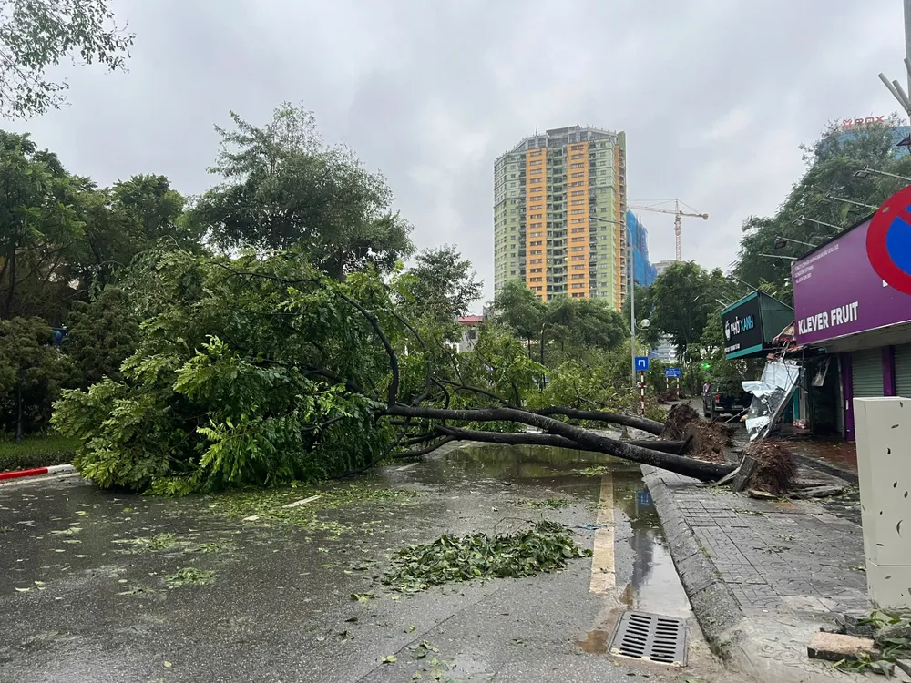 Hậu bão số 3, Hà Nội cây đổ khắp nơi, giao thông đi lại khó khăn
