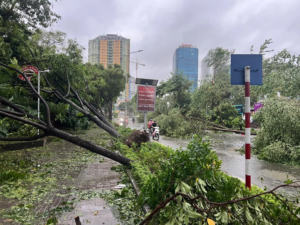 ADB hỗ trợ Việt Nam 2 triệu USD ứng phó cơn bão Yagi