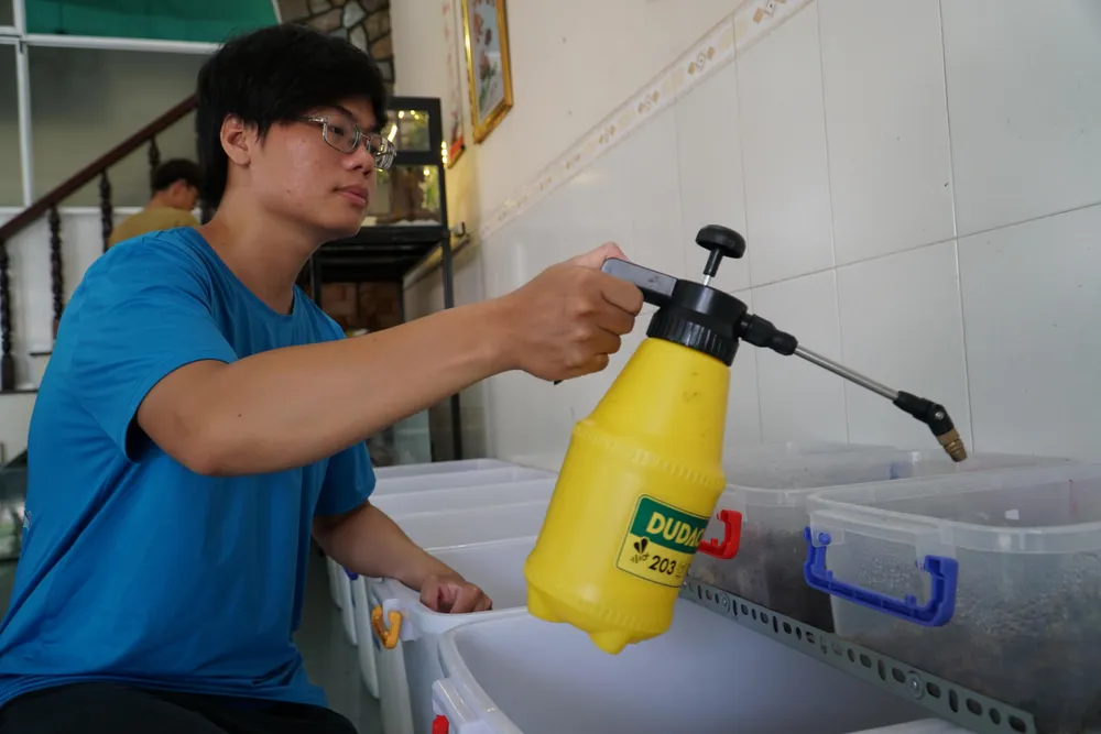 Anh Phú phải liên tục phun thêm nước muối để bề mặt ẩm ướt, tránh nhiệt độ quá nóng, cản trở đến sự phát triển của cua. Anh Phú phải liên tục phun thêm nước muối để bề mặt ẩm ướt, tránh nhiệt độ quá nóng, cản trở đến sự phát triển của cua.