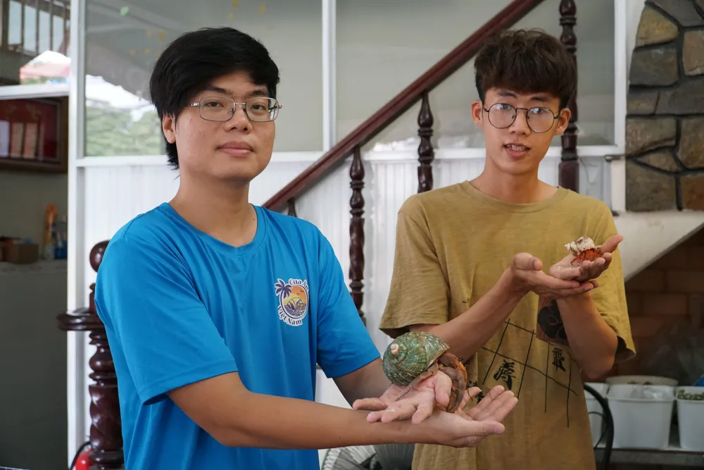 Anh Phú cùng bạn Lê Vũ (ngụ Quận 8) cùng chung sở thích nuôi cua ẩn sĩ hay giao lưu, trao đổi kiến thức về cách nuôi loài cua này. Anh Phú cùng bạn Lê Vũ (ngụ Quận 8) cùng chung sở thích nuôi cua ẩn sĩ hay giao lưu, trao đổi kiến thức về cách nuôi loài cua này.