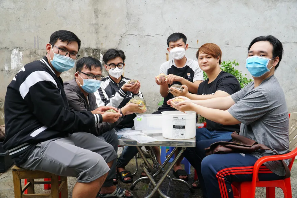 Nhóm bạn của anh Huỳnh Anh Khoa tại TP.HCM bắt đầu đam mê nuôi ếch cảnh trong khoảng 2 năm nay.