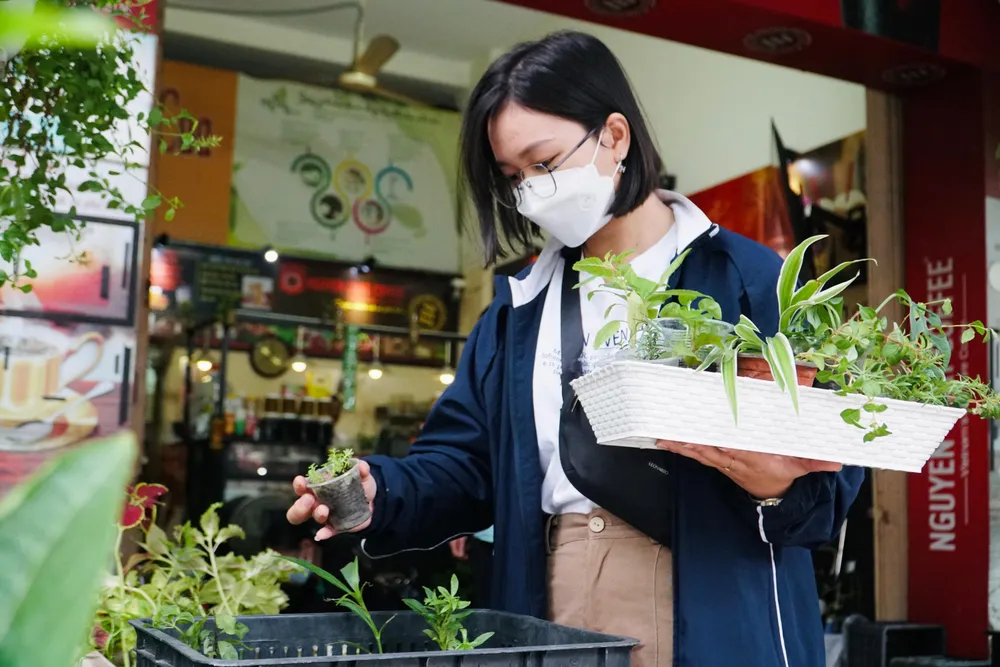 Sau 20 phút lựa chọn, bạn Ngọc Hân (sinh viên trường ĐH Văn Hiến) hào hứng: “Ban đầu tôi chỉ tính mua 1,2 cây nhưng khi đến đây cây xanh rất đa dạng, có nhiều giống cây lạ rất thú vị nên quyết định mua mỗi thứ một ít để về trồng thử." Sau 20 phút lựa chọn, bạn Ngọc Hân (sinh viên trường ĐH Văn Hiến) hào hứng: “Ban đầu tôi chỉ tính mua 1,2 cây nhưng khi đến đây cây xanh rất đa dạng, có nhiều giống cây lạ rất thú vị nên quyết định mua mỗi thứ một ít để về trồng thử."