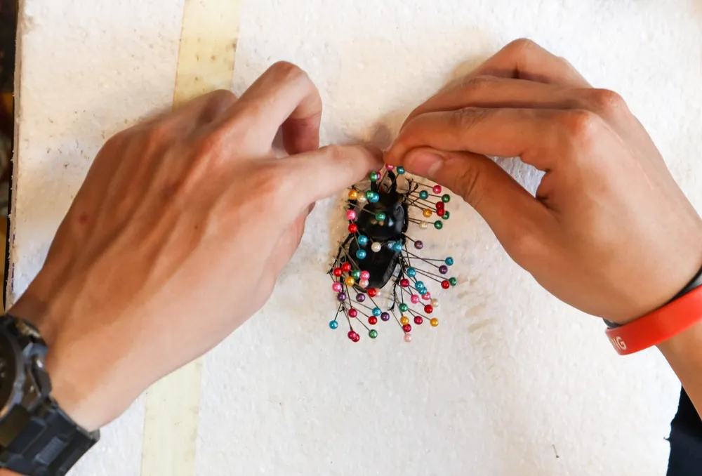 Trong quá trình ghim kim, Kiệt luôn phải cẩn thận và tỉ mỉ với mẫu. Trong quá trình ghim kim, Kiệt luôn phải cẩn thận và tỉ mỉ với mẫu.