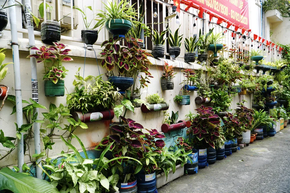 Một góc phủ kín cây xanh tạo điểm nhấn ấn tượng cho con hẻm do người dân tự tay trồng, tận dụng các vật liệu bỏ đi để tái chế làm chậu trang trí.