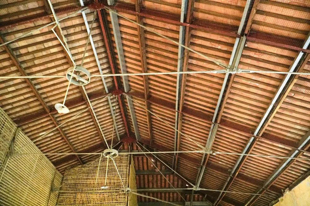 Phần mái ngói thấm dột. ẢNH: NHẬT DIỄM