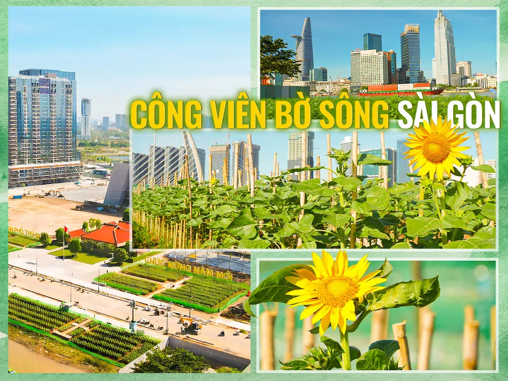 30 ngày biến lau lách, cỏ dại thành điểm đến lý tưởng mới ở TP.HCM