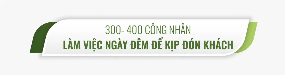 30 ngày biến lau lách, cỏ dại thành điểm đến lý tưởng mới ở TP.HCM