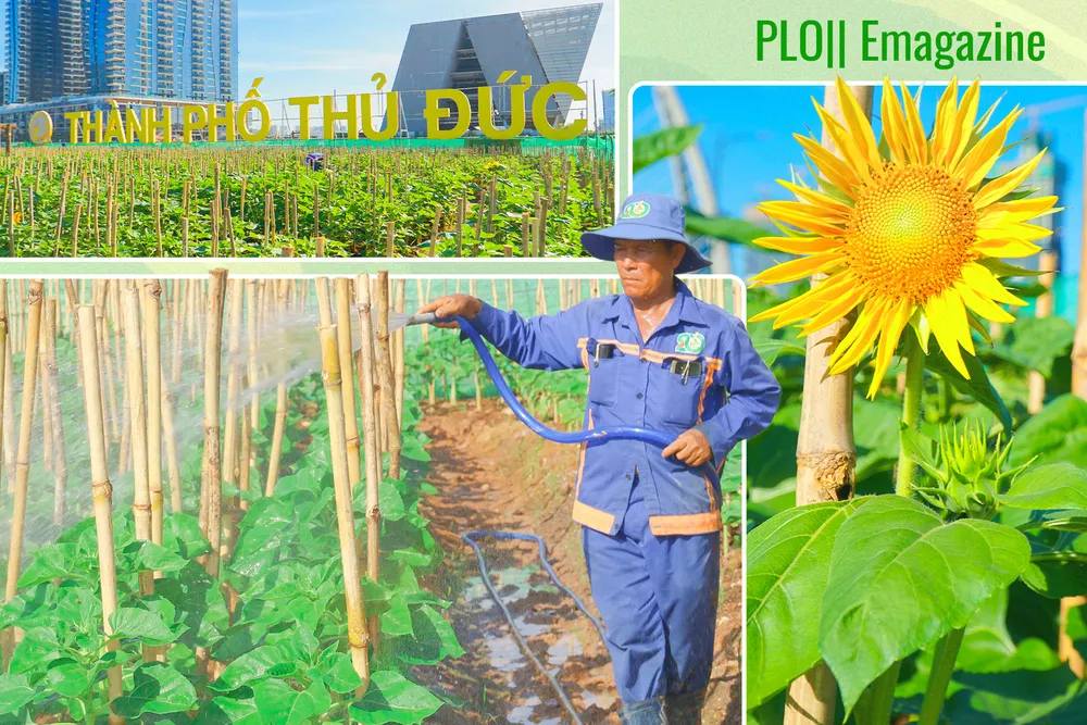 công viên bờ sông Sài Gòn