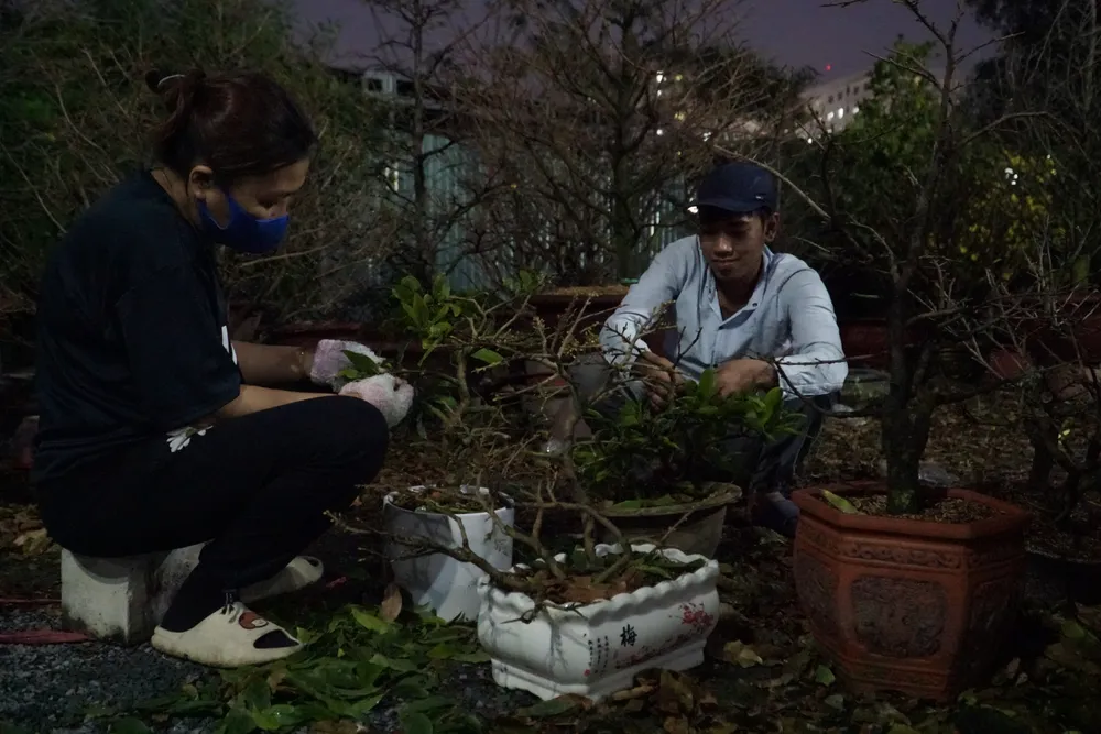 11. 1 -lat-la-mai.jpg