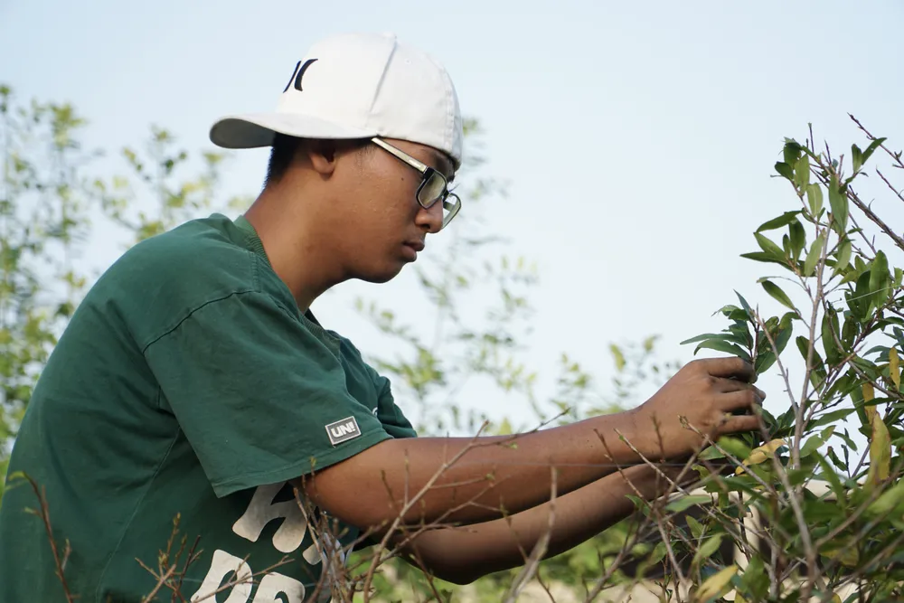 5. 1 -lat-la-mai.jpg