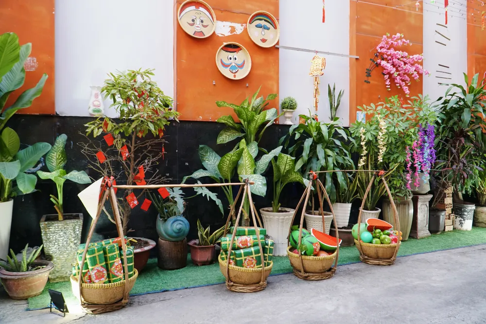 Ảnh 6.1 -duong-hoa.jpg