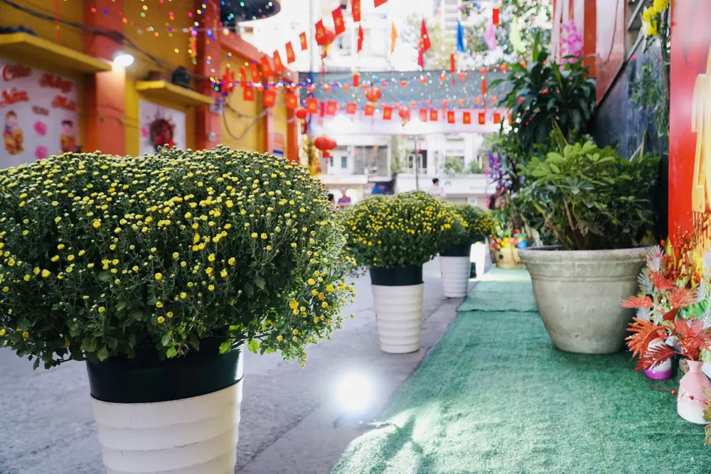 Ảnh 6.2 -duong-hoa.jpg