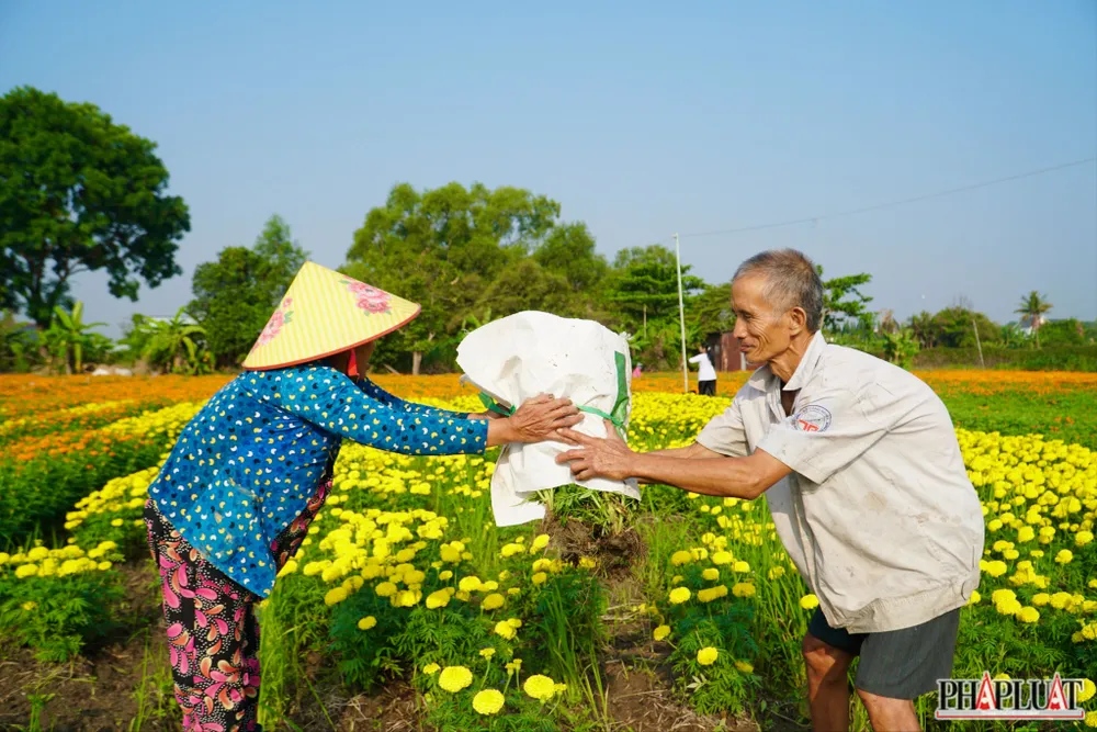 Ảnh 10 -lang-hoa.jpg