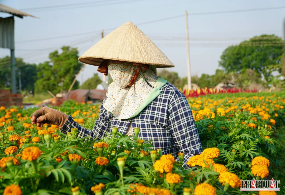 Ảnh 11 -lang-hoa.jpg