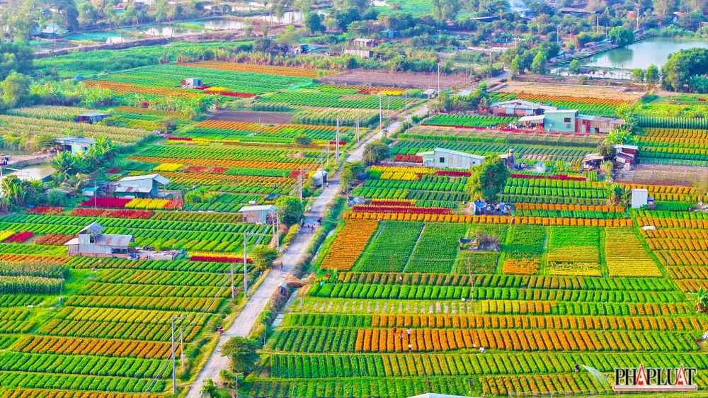 Ảnh 2 -lang-hoa.jpg