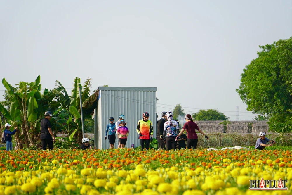 Ảnh 5.1 - lang- hoa.jpg