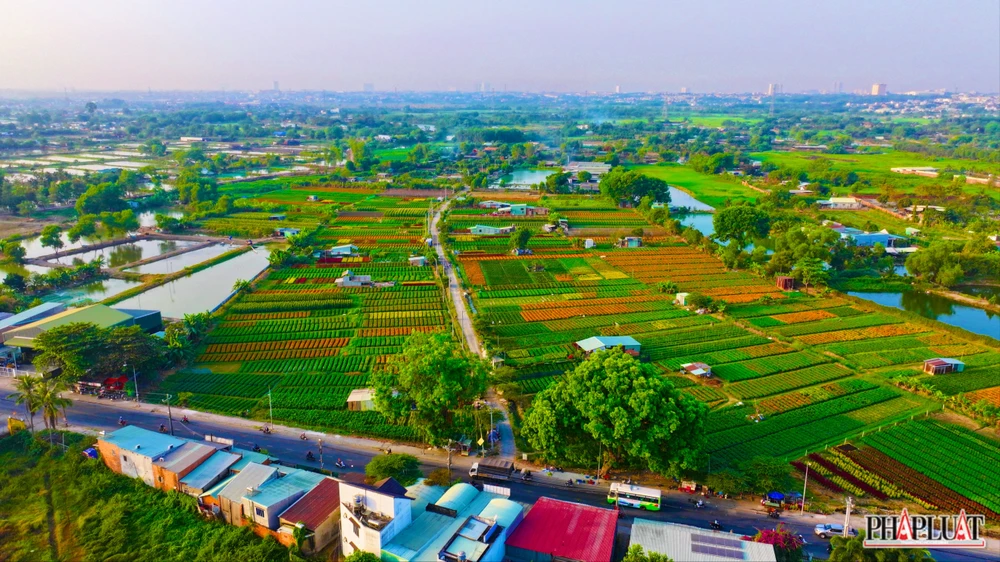 Nhiều người chọn ghé chụp ảnh tại làng hoa vào lúc từ 6 giờ- 8 giờ hoặc từ 15 giờ- 17 giờ để có ánh sáng đẹp nhất.