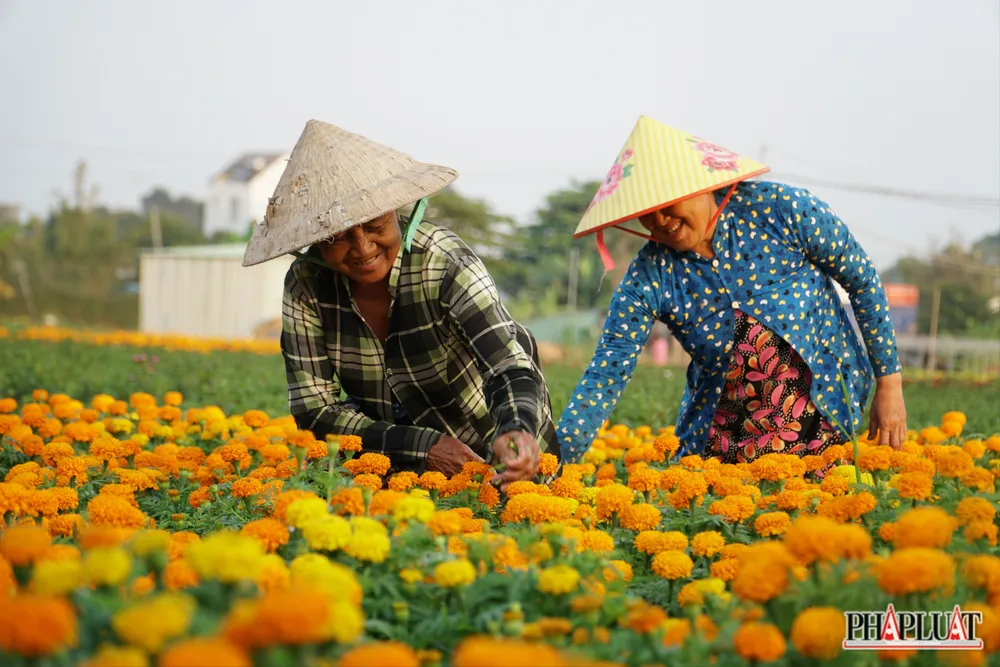 Ảnh 7.1 -lang-hoa.JPG