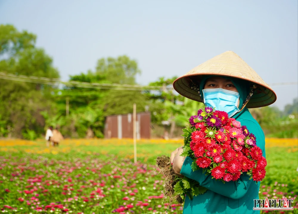 Ảnh 8 -lang-hoa.jpg