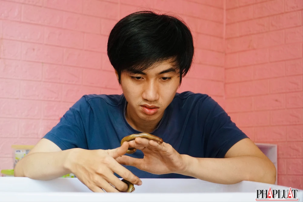 Ảnh 12 con-cuon-chieu .jpg