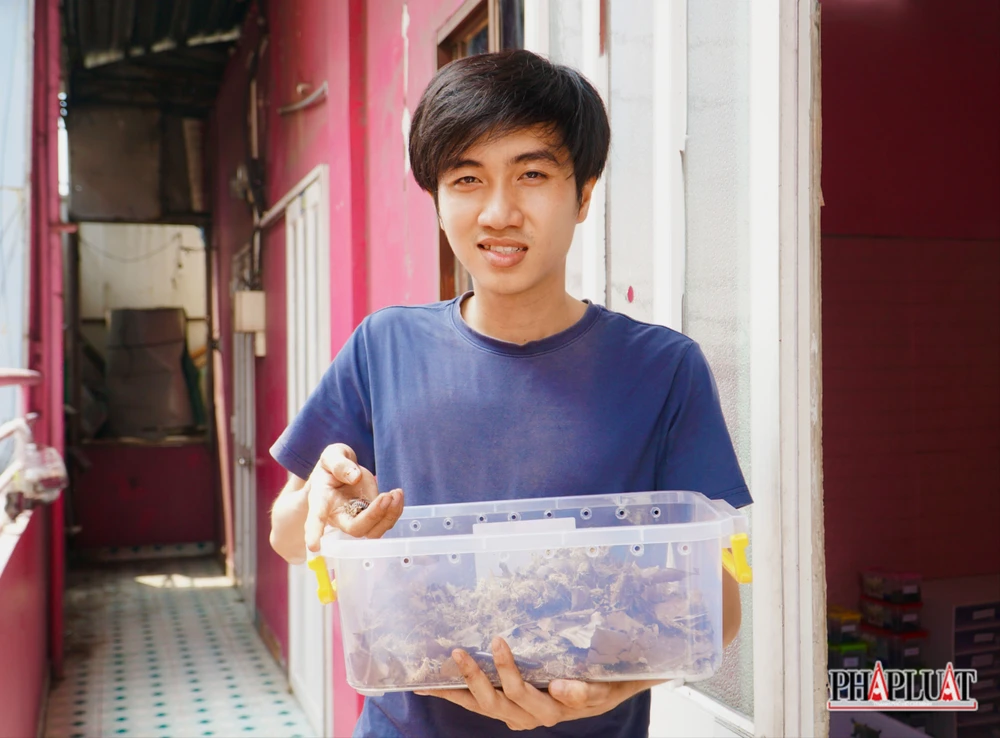 Ảnh 17 con-cuon-chieu .jpg